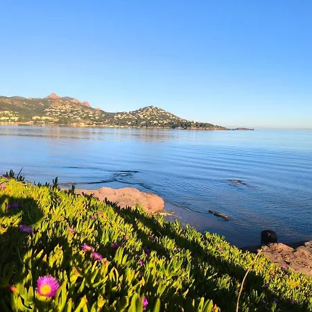 La Perle Blanche Saint-Raphaël
